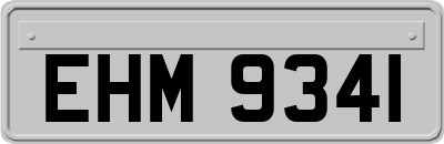 EHM9341