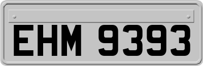 EHM9393