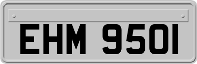 EHM9501