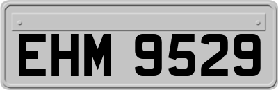 EHM9529