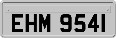EHM9541