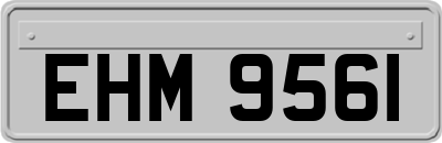 EHM9561