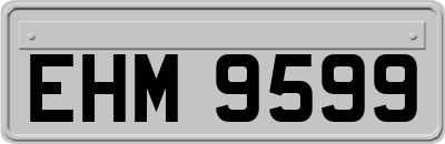 EHM9599