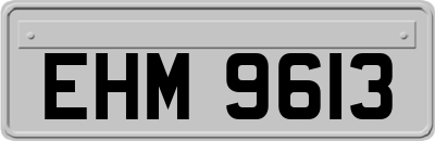 EHM9613