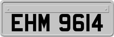 EHM9614