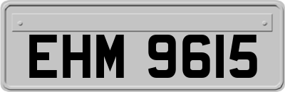 EHM9615