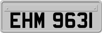 EHM9631