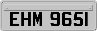 EHM9651