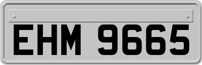 EHM9665