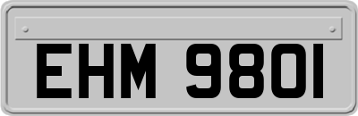 EHM9801