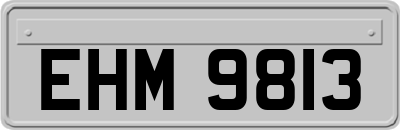 EHM9813