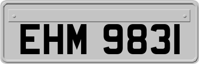 EHM9831