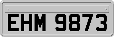 EHM9873