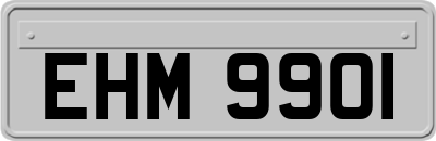 EHM9901