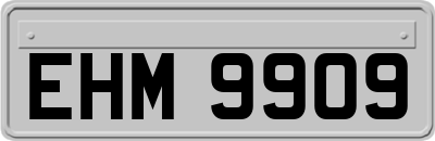 EHM9909