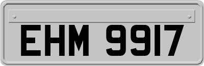 EHM9917