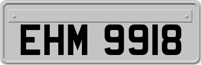 EHM9918