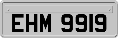 EHM9919