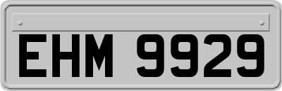 EHM9929