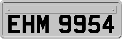 EHM9954