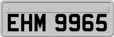 EHM9965