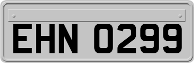 EHN0299