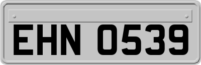 EHN0539