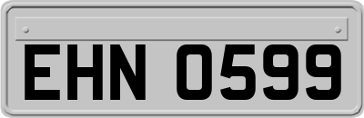 EHN0599