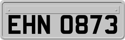 EHN0873