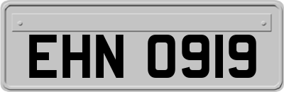 EHN0919