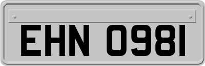 EHN0981