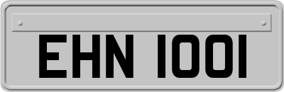 EHN1001