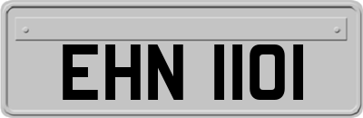 EHN1101
