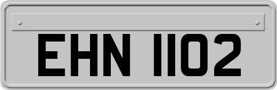 EHN1102