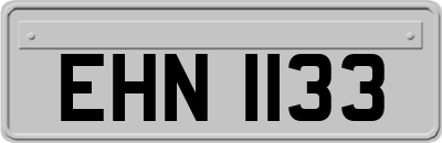 EHN1133