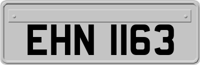 EHN1163