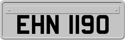 EHN1190