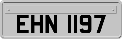 EHN1197