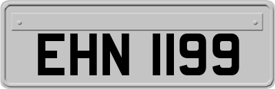EHN1199