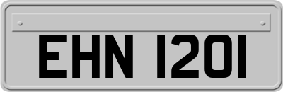 EHN1201