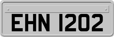 EHN1202
