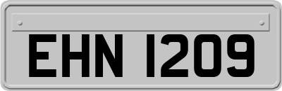 EHN1209