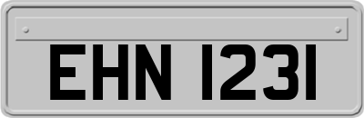 EHN1231