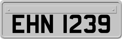 EHN1239