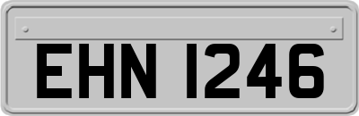 EHN1246