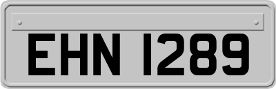 EHN1289