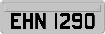 EHN1290