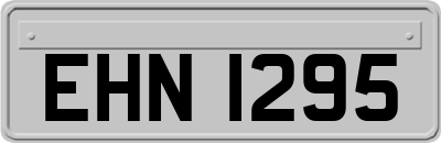 EHN1295