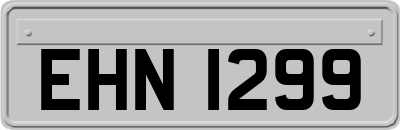 EHN1299