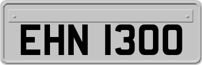 EHN1300